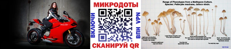 Псилоцибиновые грибы мухоморы  shop клад  Курильск 